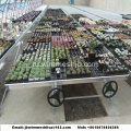 Galvanized+Welded+Wire+Mesh+Greenhouse+Rolling+Benches